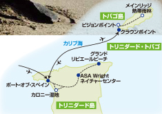 ~ウミガメ最大種オサガメの産卵に出会う~ トリニダード・トバゴで楽しむネイチャーウォッチング【10日間】