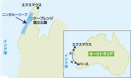 世界遺産ニンガルーリーフとケープレンジ国立公園ワイルドフラワーの旅【8日間】