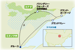 水上飛行機で行くバウンダリー・ウォーターズ自然保護区ネイチャーツアー【8日間】