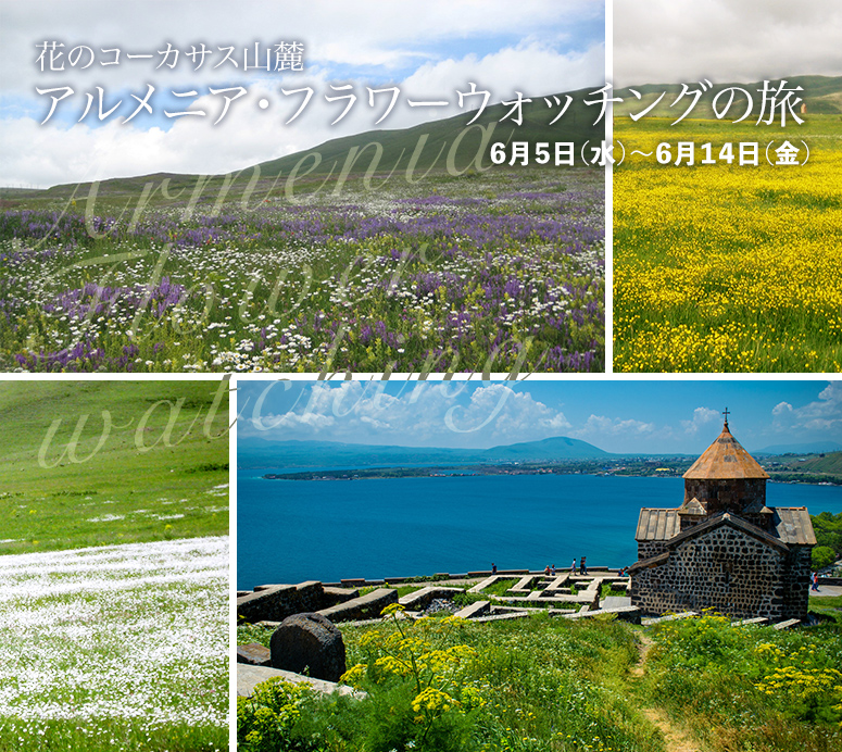 花のコーカサス山麓 アルメニア・フラワーウォッチングの旅【10日間】