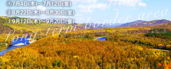 満州里から最北の北極村へ 中露国境地帯大縦断の旅