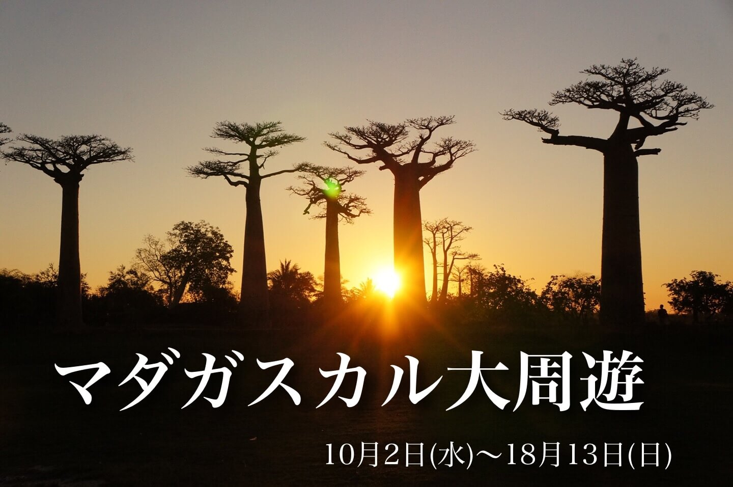 世界遺産ツィンギーを訪れる マダガスカル大周遊満喫の旅【12日間】