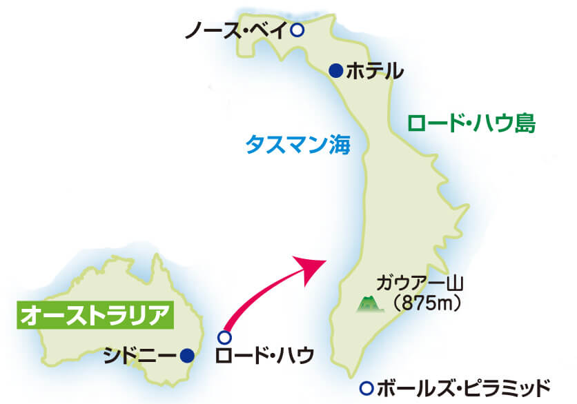 オーストラリアの宝石 世界最南端の珊瑚礁、絶景ロード・ハウ滞在の旅【7日間】