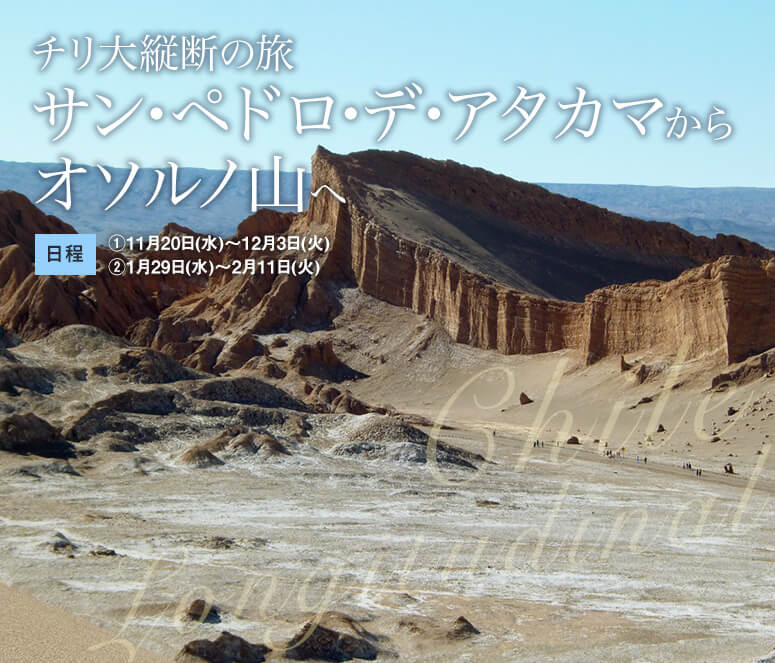 チリ大縦断の旅 サン・ペドロ・デ・アタカマからオソルノ山へ【14日間】