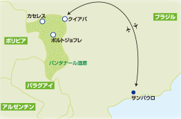 パラグアイ川を巡る パンタナールリバークルーズの旅【11日間】