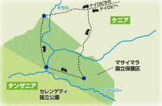 東西マサイマラ国立保護区でヌーの大移動を追う こだわりのサファリの旅【10日間】
