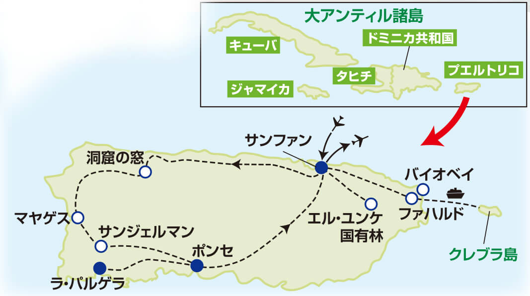 プエルトリコと 神秘現象 青く光る夜の海【9日間】