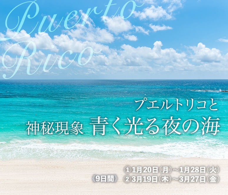 プエルトリコと 神秘現象 青く光る夜の海【9日間】