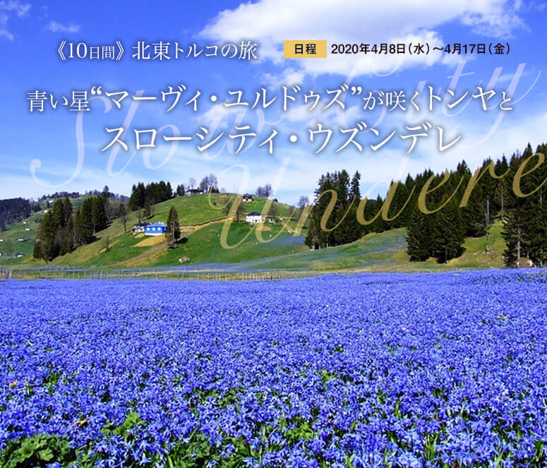 北東トルコの旅 青い星“マーヴィ・ユルドゥズ”が咲くトンヤとスローシティ・ウズンデレ【10日間】